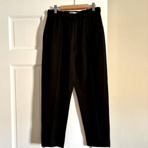 Everlane Pull On Front Crease Ankle Knit Pants